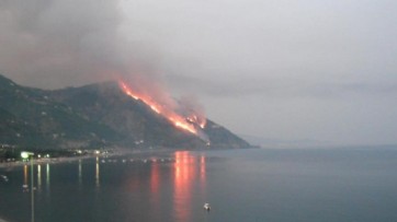 Ricognizione danni subiti dalle attività economiche per gli incendi boschivi
