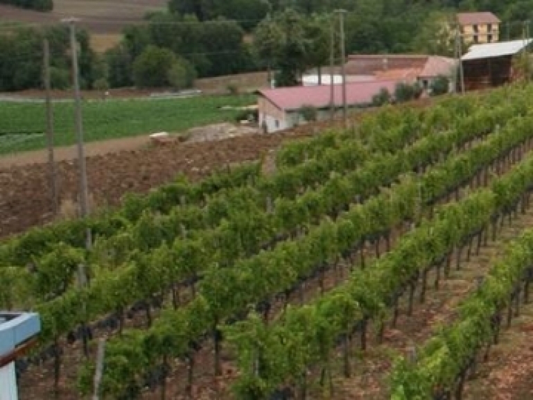 Agricoltura; Psr, la Regione Campania supera con largo anticipo il target di spesa 2018