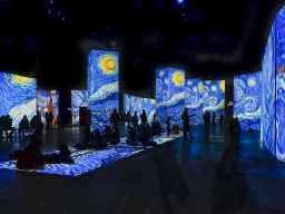 “The immersive experience” - Van Gogh incontra Napoli