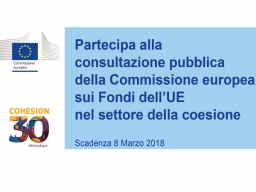 Partecipa alla consultazione pubblica della Commissione Europea