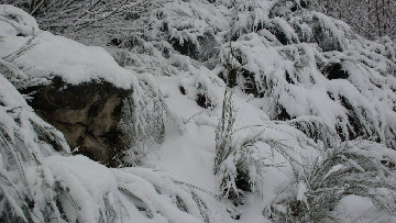 Emergenza neve, assessore Cosenza in prefetture Avellino e Benevento