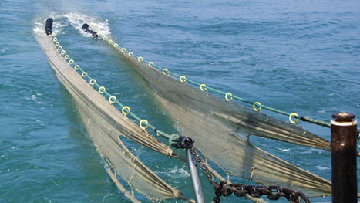 Pesca, deroga allo strascico: questa mattina il via libera del ministero