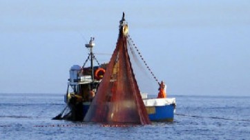 Fisheries, Call for Proposals for More than 9 Million Euros Published