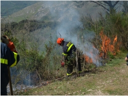 Protezione Civile: riattivato il servizio digitale per l’iscrizione al “Corso “Base Antincendio Boschivo (AIB) – Volontari”