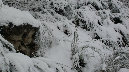Emergenza neve, assessore Cosenza in prefetture Avellino e Benevento