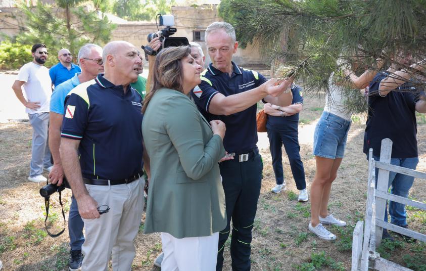 Assessora Serluca_sperimentazione cocciniglia