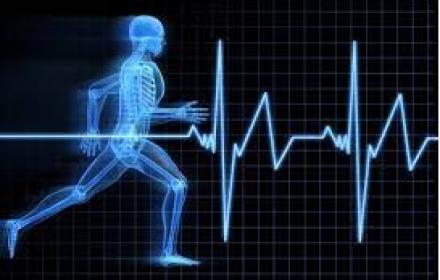 Medicina dello sport